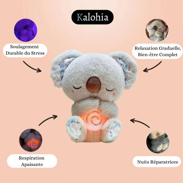 Soothing Koala – The companion of inner calm