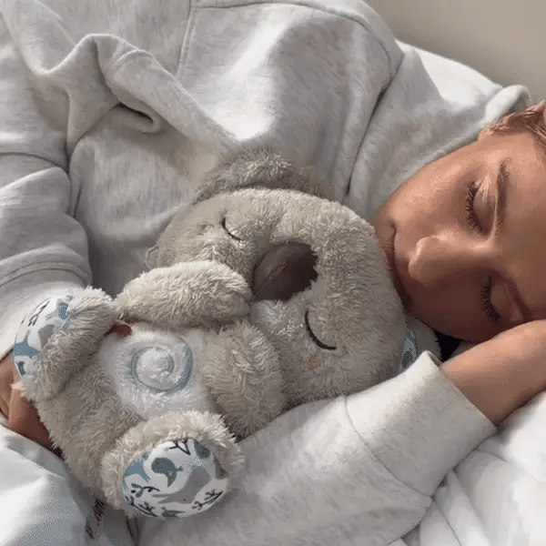 Soothing Koala – The companion of inner calm